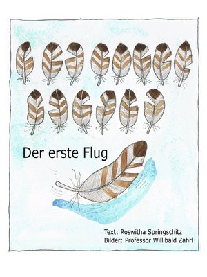 cover image of Der erste Flug